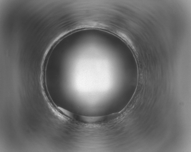 X0000073531136200608141019