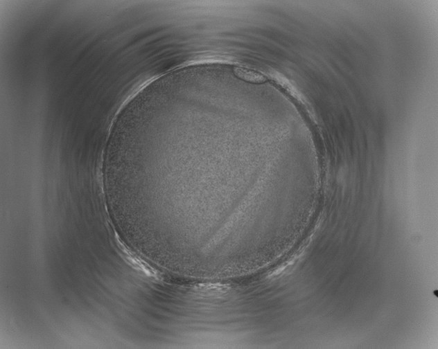 X0000073531137200608141019