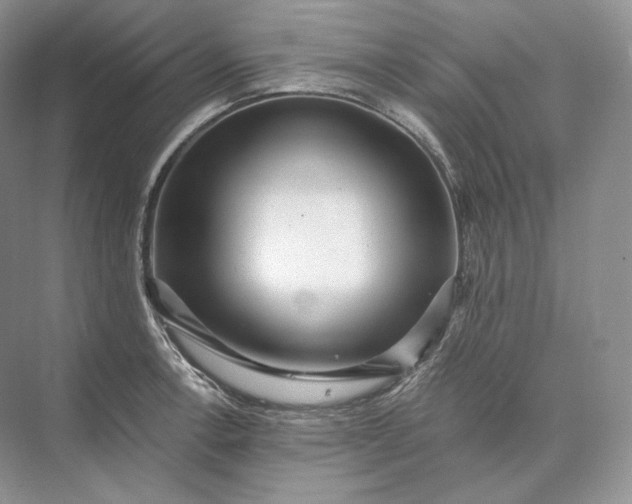 X0000073531138200608141019