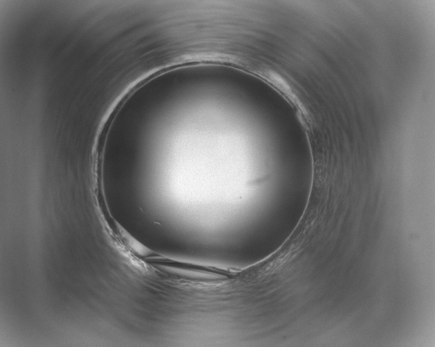 X0000073531140200608141019
