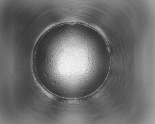 X0000073531142200608141019