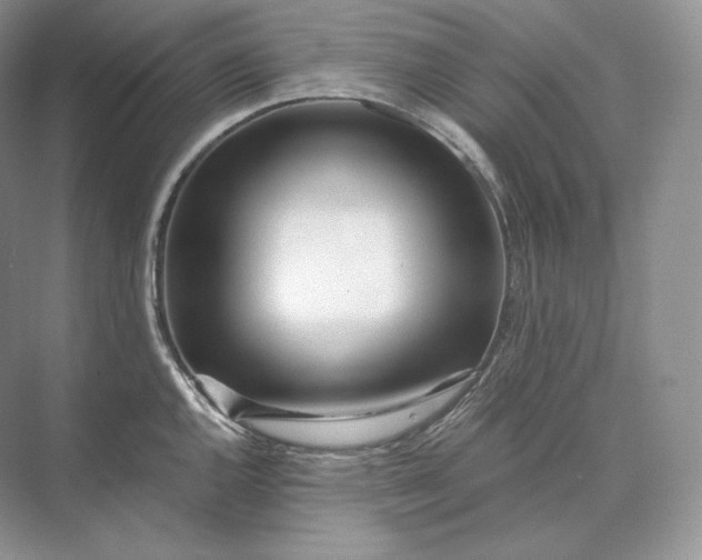 X0000073531144200608141019