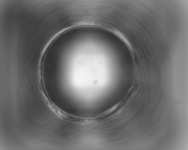 X0000073531148200608141019