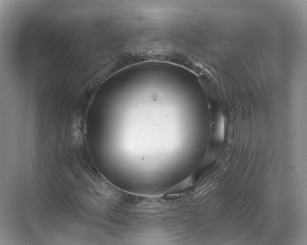 X0000073531156200608141019