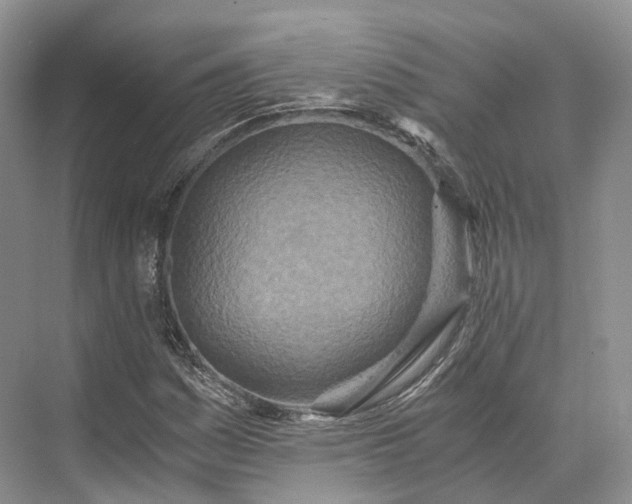 X0000073531161200608141019