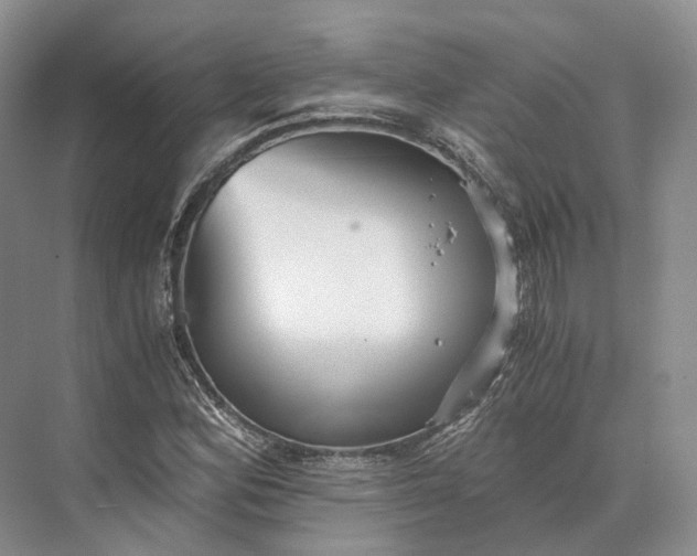 X0000073531164200608141019