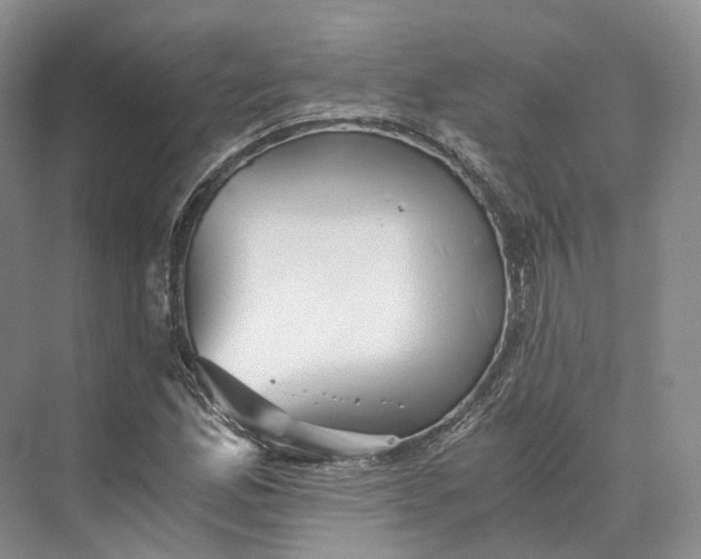 X0000073531165200608141018