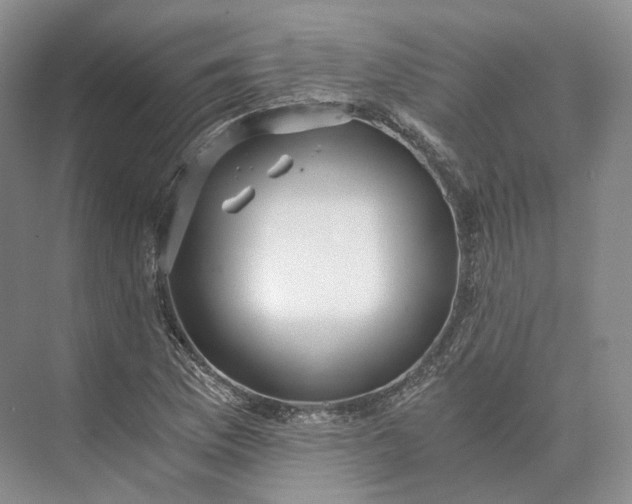 X0000073531169200608141018