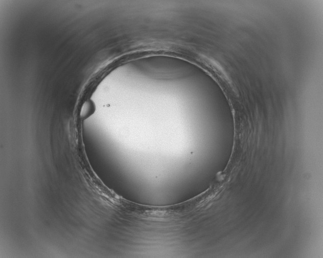 X0000073531172200608141018
