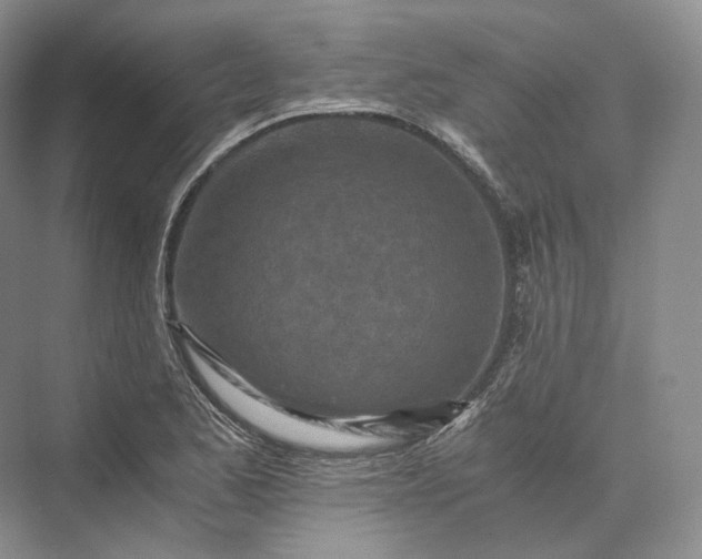 X0000073531173200608141018