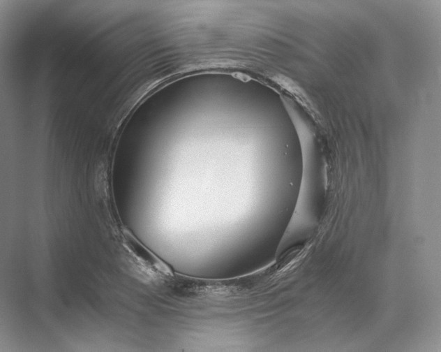 X0000073531177200608141018