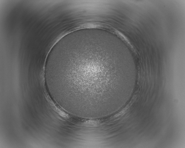 X0000073531178200608141018