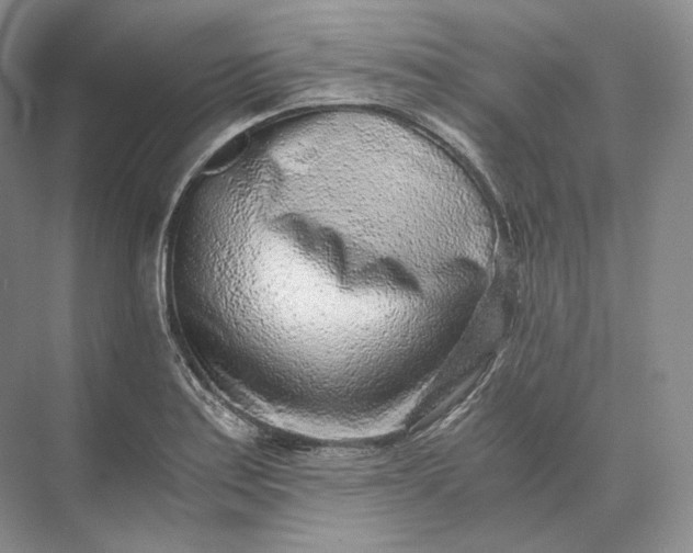 X0000073531179200608141018