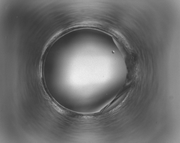 X0000073531180200608141018