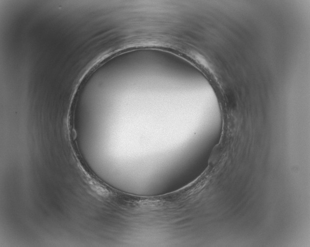 X0000073531181200608141018