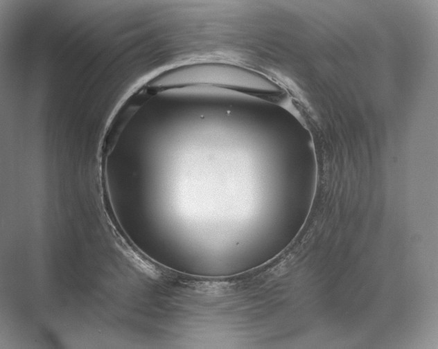 X0000073531184200608141018