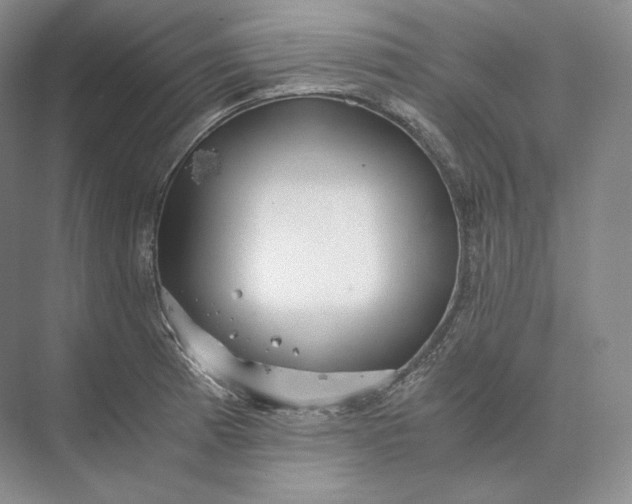 X0000073531185200608141018