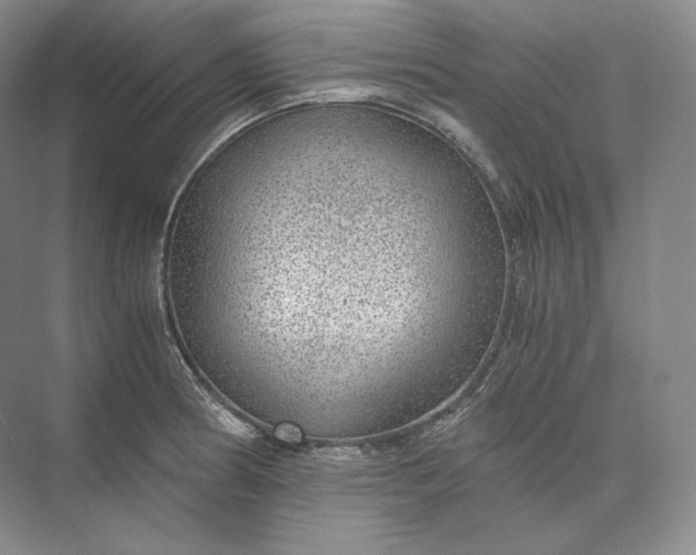 X0000073531186200608141018