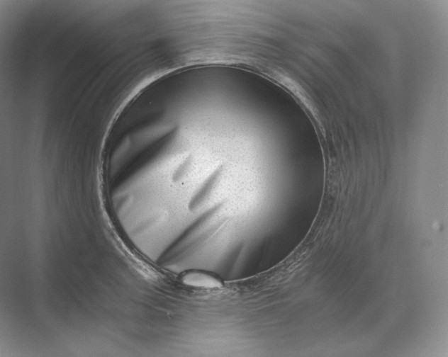 X0000073531187200608141018
