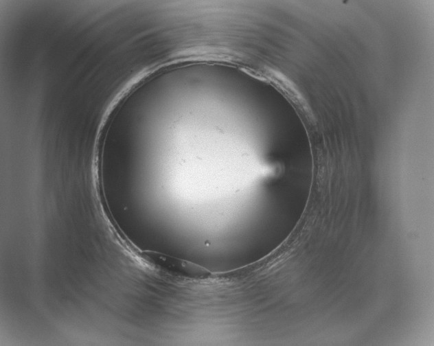 X0000073531188200608141018