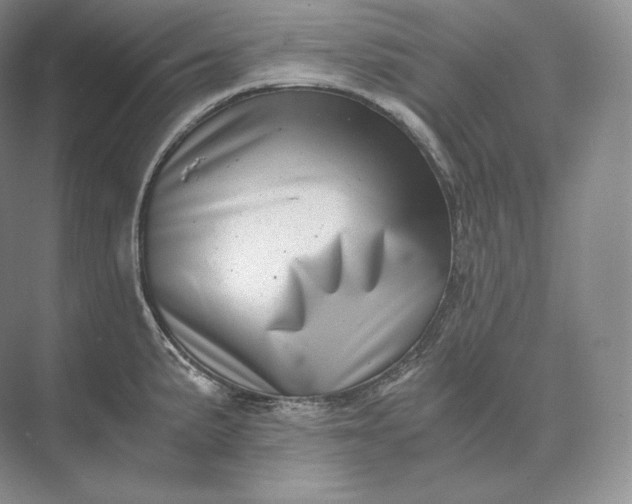 X0000073531191200608141018
