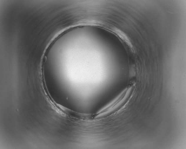 X0000073531192200608141018
