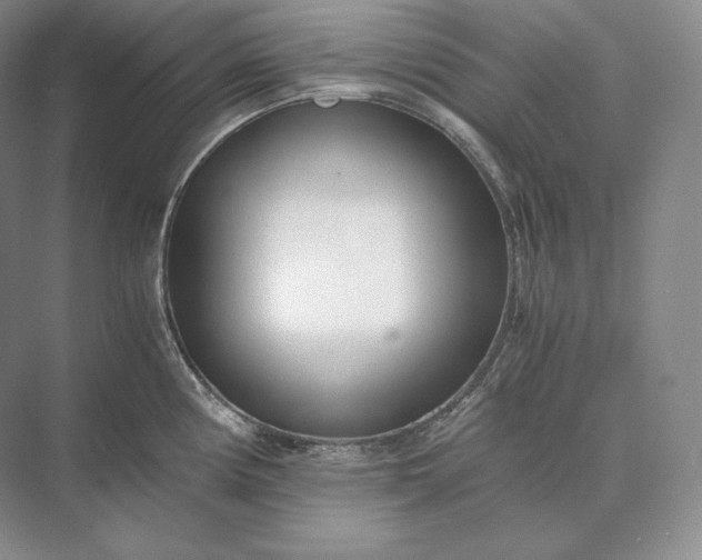 X0000073531194200608141018