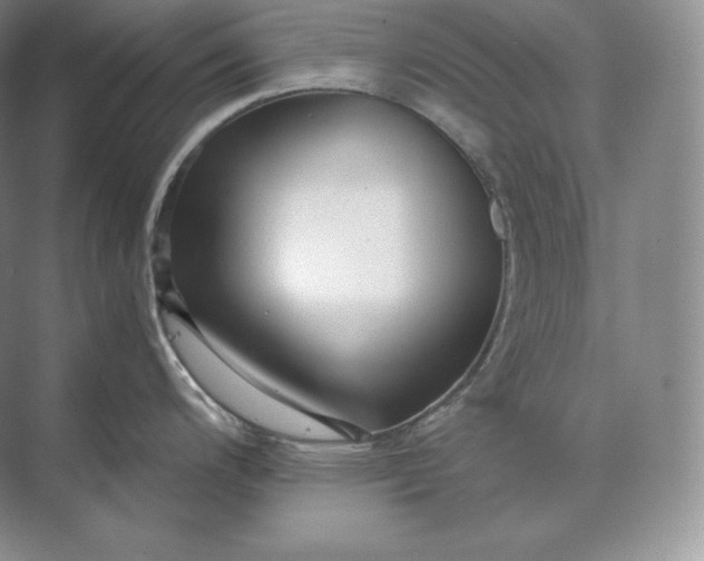 X0000073531200200608141018