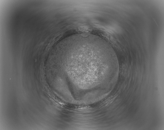X0000073531201200608141017