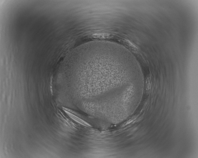 X0000073531202200608141017