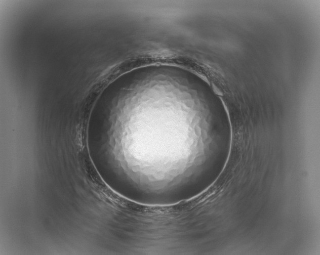X0000073531205200608141017