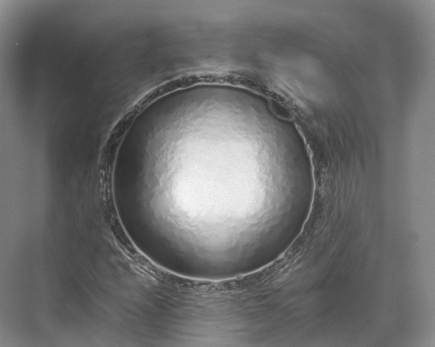 X0000073531208200608141017