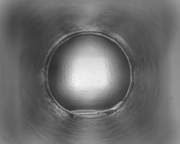 X0000073531212200608141017
