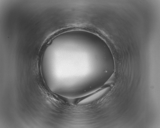 X0000073531214200608141017