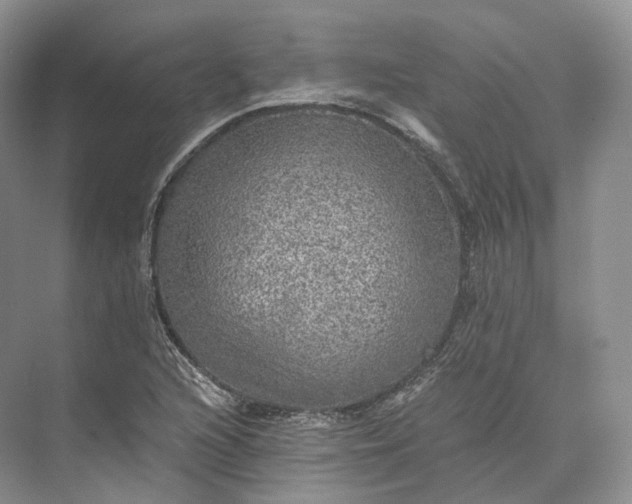 X0000073531216200608141017