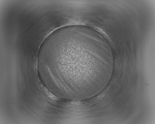 X0000073531220200608141017