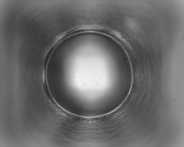 X0000073531221200608141017