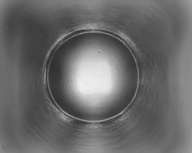 X0000073531224200608141017