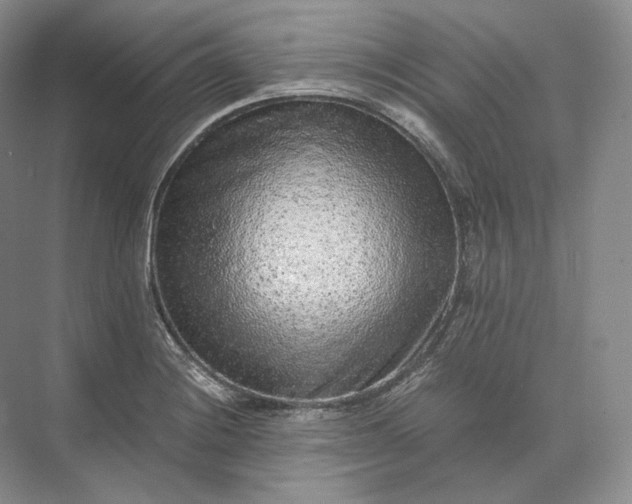 X0000073531228200608141018