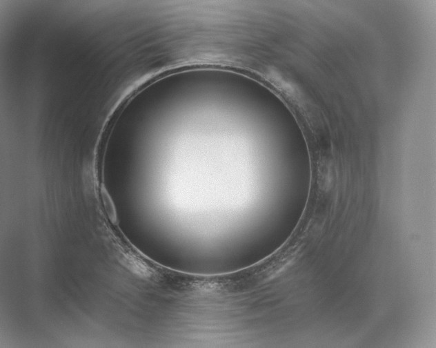 X0000073531230200608141018