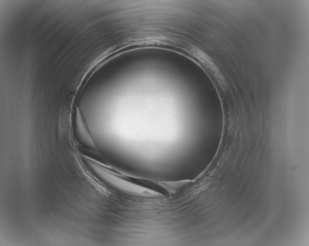 X0000073531234200608141018