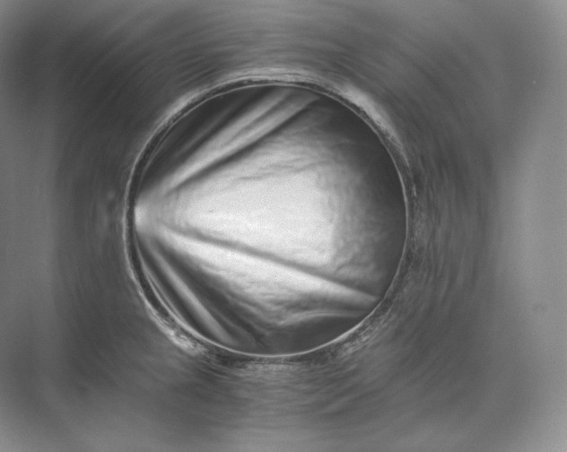 X0000073531237200608141018