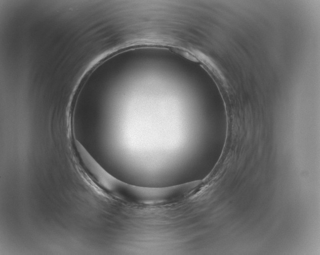 X0000073531238200608141018