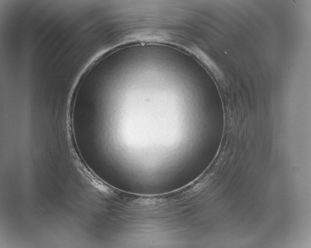 X0000073531240200608141018