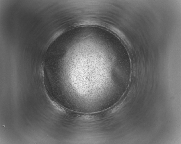X0000073531241200608141018