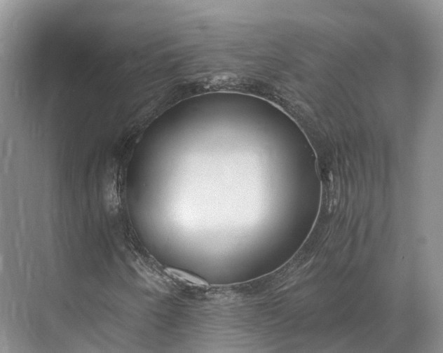 X0000073531250200608141017