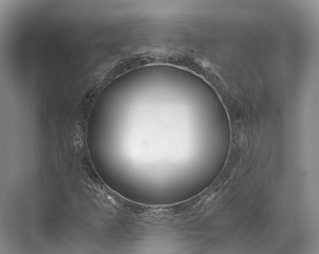 X0000073531253200608141017