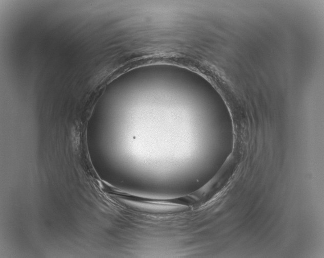 X0000073531257200608141017