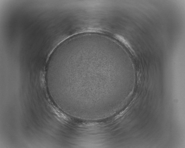 X0000073531260200608141017