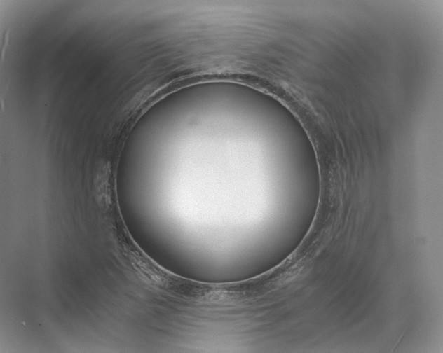 X0000073531265200608141017